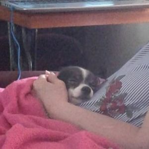 Meet your Posher, Diane